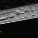 Image for article titled Razors Under a Microscope
